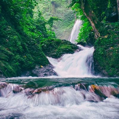 谁是首富总裁版游戏下载