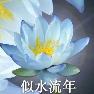 逆仙绝道游戏